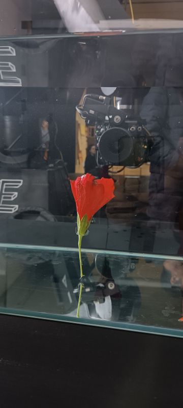 Making of